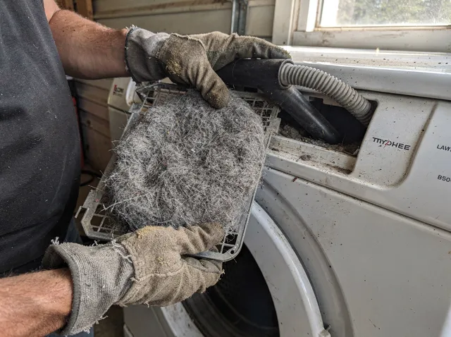 Cleaning Dryer Lint Trap in Littleton